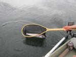 Boats and boating--Equipment and supplies Vehicle Recreation