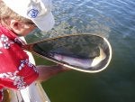 Fish Fish Fishing